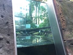 -墨尔本博物馆(Melbourne Museum)