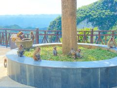 -重庆云阳龙缸景区