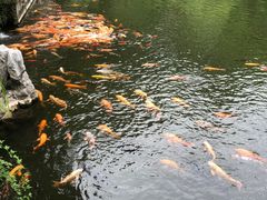 -孔氏南宗家庙