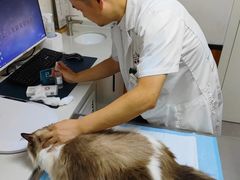 -派联宠物医院·24h·CT·异宠