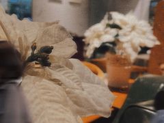 -灵意咖啡·西班牙美食(汕头金平万达广场店)