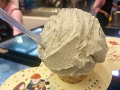 -野人先生现做冰淇淋(西安赛格店)