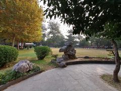 -西苑公园
