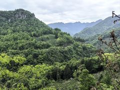 -石台牯牛降景区
