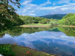-奈良公园