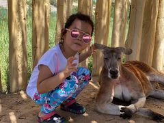 -鄂尔多斯野生动物园