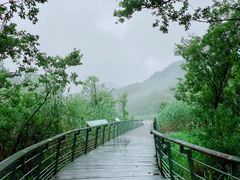 -西湖风景区-江洋畈生态公园