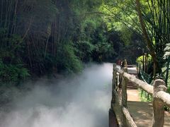 -川西竹海景区