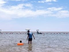 -碧海金沙