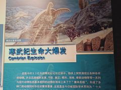 -安徽省地质博物馆