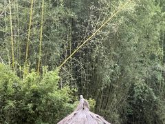 -河源御临门度假村温泉