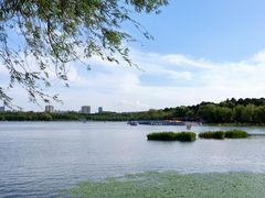 -长春市南湖公园