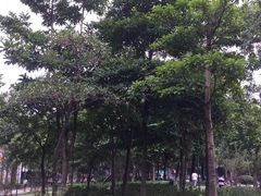 -同德公园