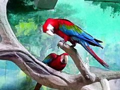 -福州罗源湾海洋世界旅游区