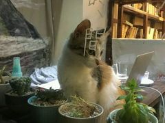 -看书吧(体育东横路店)
