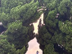 -小麦岛公园
