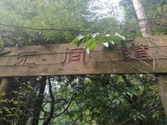 -南丹山森林王国