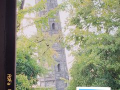 -上海佘山国家森林公园天马山园