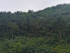 -北京山里寒舍度假酒店