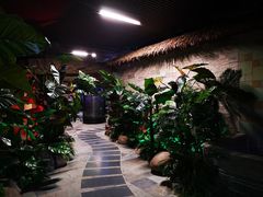 -泉城欧乐堡戏水湾艺术养生温泉