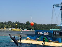 -秦皇岛乐岛海洋王国