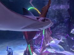 -沈阳海洋探索中心