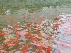 -济南方特东方神画