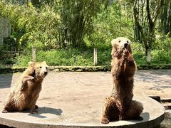 -贵州森林野生动物园
