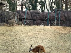 -武汉动物园