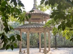 -峙山公园