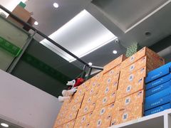 -爱侣宠医·鹦鹉专科·小型哺乳类·异宠专科(灵石路店)