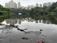 -重庆彩云湖湿地公园