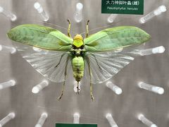 -国家自然博物馆