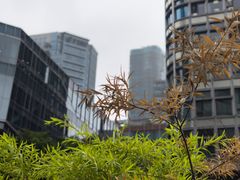 -公平路渡口(轮渡站)