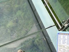 -梦幻奥陶纪景区