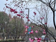 -武汉园博园(武汉自然博物馆)
