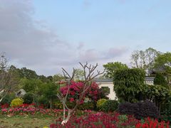 -东莞植物园