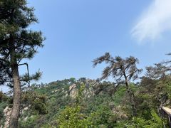 -沂蒙山旅游区龟蒙景区