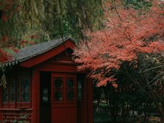 -重庆园博园