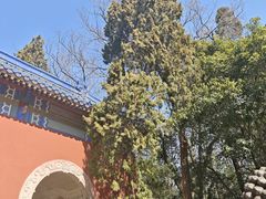 -灵谷景区