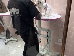 -FAELING PETS美天灵宠物(富力广场店)