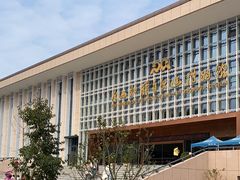 -广西壮族自治区博物馆