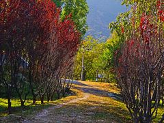 -北京西山国家森林公园