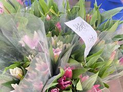 -三圣花乡旅游区