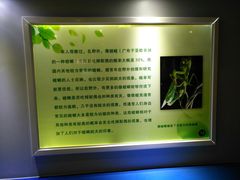 -上海昆虫博物馆