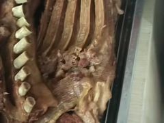 -河间正宗驴肉火烧(宾水西里店)