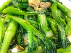 -花溪雨·森林餐厅(石基店)