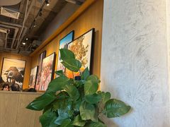 -Wagas沃歌斯(五道口购物中心店)