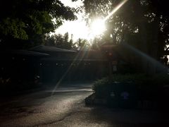 -奥兰多迪士尼动物王国乐园