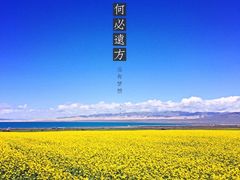 -青海湖国家重点风景名胜区